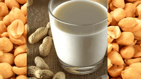 Peanut Milk Recipe