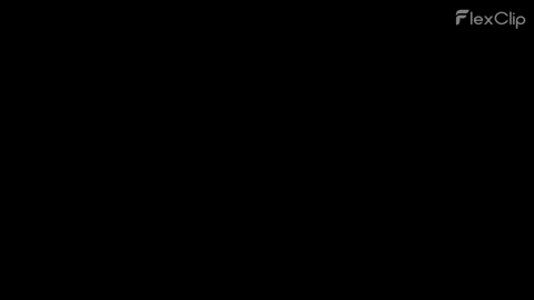 giphy.gif