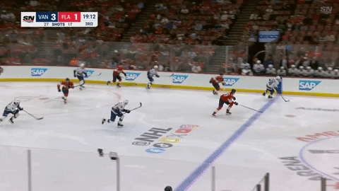 Cat Panthers GIF - Cat Panthers Hockey - Discover & Share GIFs