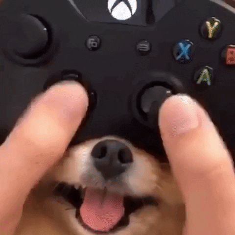 Someone presses buttons on their controller. Poking out from under the controller is a dog's nose, which they wiggle like a joystick.