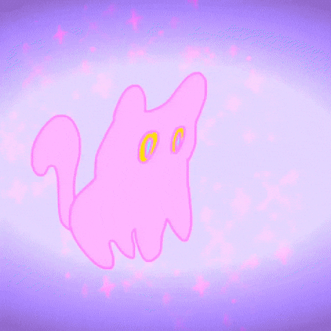 sparkle cat gif