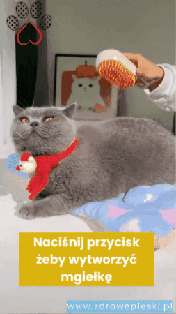 Szczotkowanie sierści ze spryskiwaczem