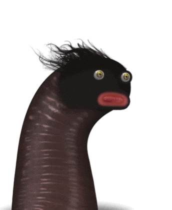 [Image: giphy.gif]