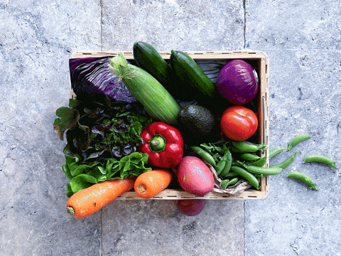 Maximising garden bad growing space by seperating plants gif