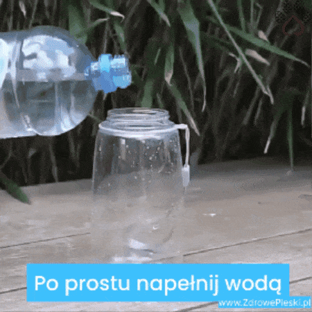 Pies pijący z podróżnej butelki