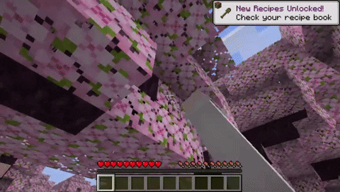 breaking leaves for sapling Cherry Grove in Minecraft