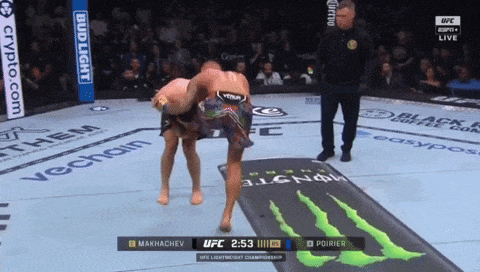 giphy-downsized-large.gif