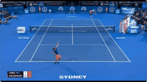 giphy.gif