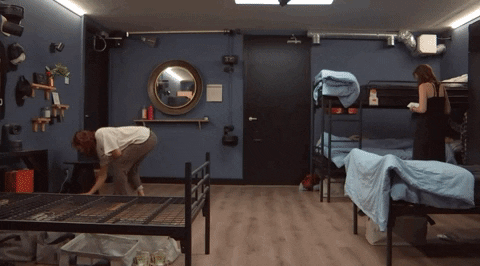 giphy.gif