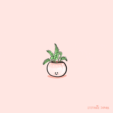 plants
