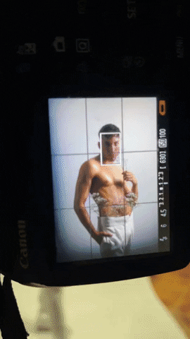 giphy.gif