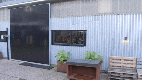 giphy-downsized-large.gif