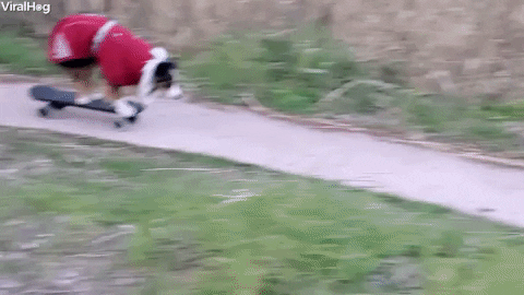 [Image: giphy.gif]