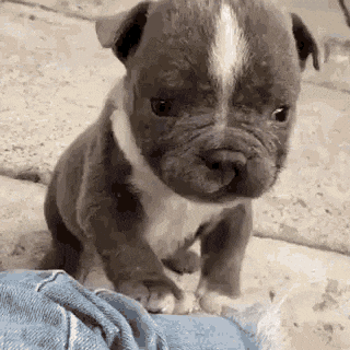 [Image: giphy.gif]