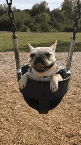 [Image: giphy.gif]