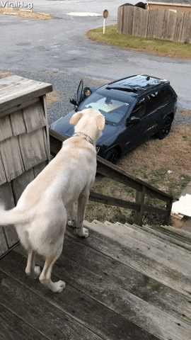[Image: giphy.gif]