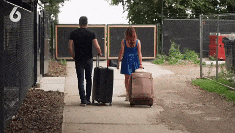 giphy-downsized-large.gif