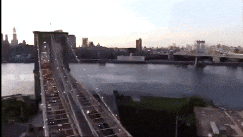 giphy-downsized-large.gif