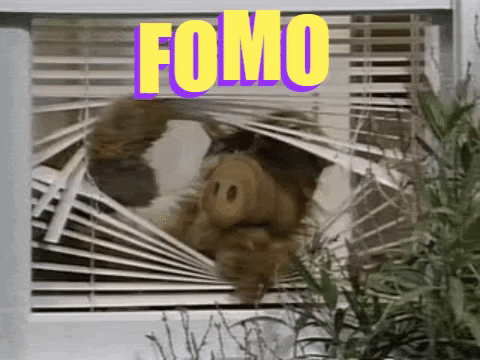 GIF from the TV show ALF. An aardvark-like alien peers out from between the window blinds, captioned FOMO.
