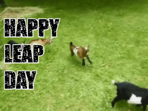 A baby goat leaps over another baby goat. The sparkly caption reads, "Happy Leap Day"