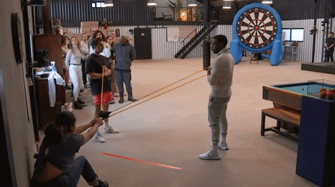 giphy.gif