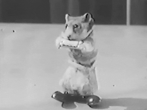 giphy.gif