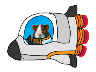 guinea pig in a rocket