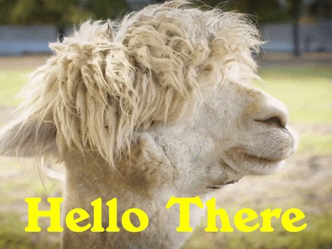 Llama saying "Hello There"