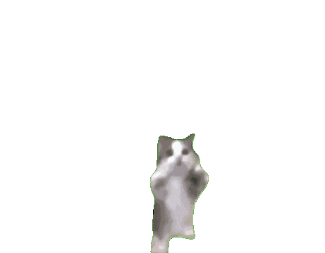 giphy.gif