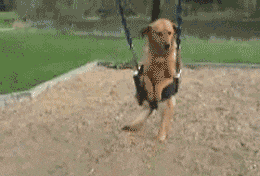 [Image: giphy.gif]