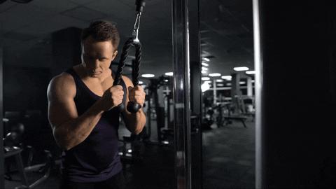 Triceps cable pushdown