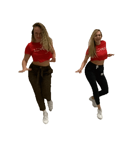 giphy.gif
