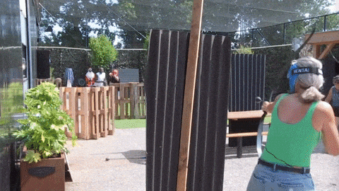 giphy-downsized-large.gif