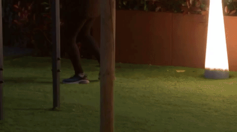 giphy-downsized-large.gif