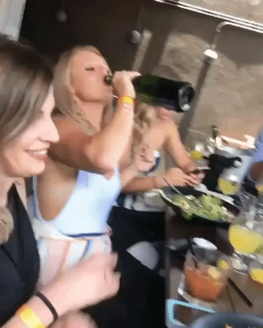 giphy.gif
