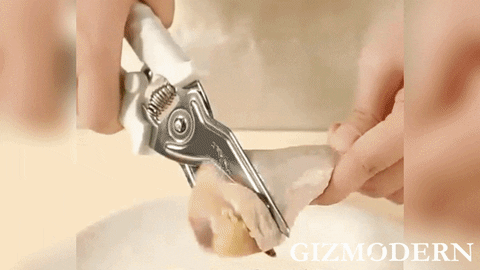Stainless Steel Multifunctional Magnetic Kitchen Scissors – GizModern