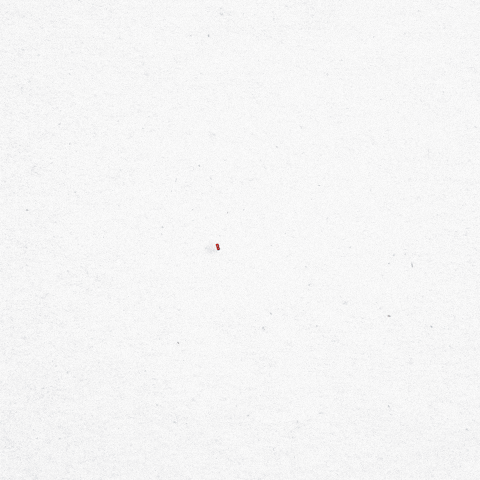 gif-localhost