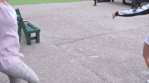 giphy.gif