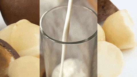 Macadamia Milk Recipe