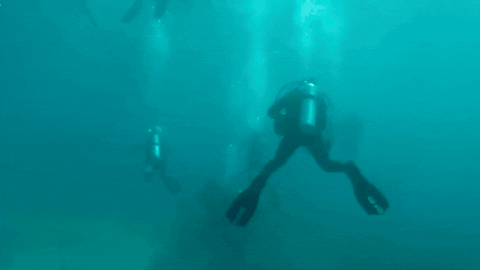 A GIF showing DCPS students in scuba gear under water.