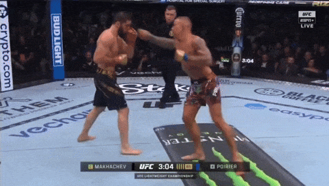 giphy-downsized-large.gif