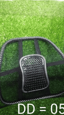 Ventilation Back Rest with Lumbar Support