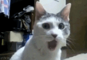 GIF drôle