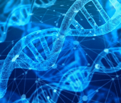 Fase Fase 1: Rigenerazione Cellulare Attiva