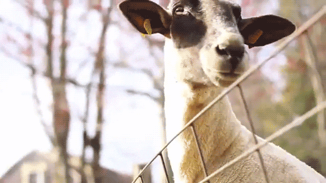 mental state gif