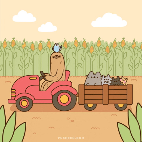 Pusheen autumn