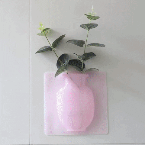 Wall Hanging Silicone Flower Pot Sticker Plant Rack for Decoration  (MultiColour)