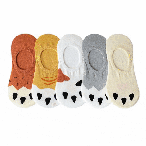 Dog Paw Design Women Socks Dog Paw Design Women Socks