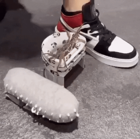 giphy.gif