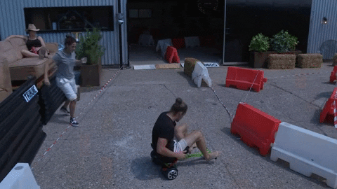 giphy.gif